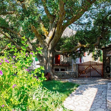 Menelia Cottage Platístoma Cameră foto