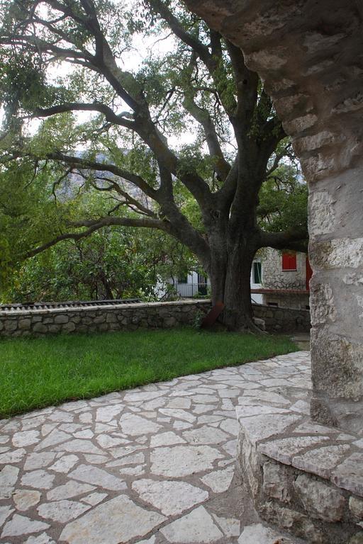 Menelia Cottage Platístoma Cameră foto