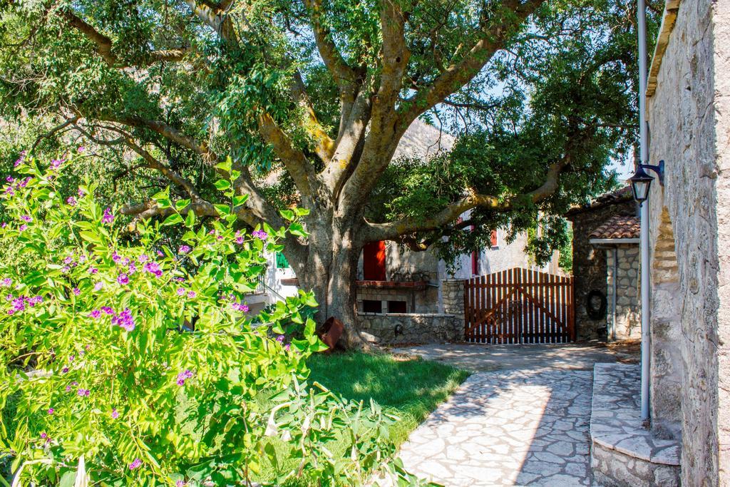 Menelia Cottage Platístoma Cameră foto